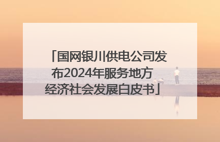 国网银川供电公司发布2024年服务地方经济社会发展白皮书